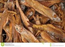 Dried Stock Fish,///DRIED CODFISH STOCK FISH