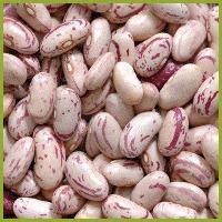 Speckled Kidney Beans
