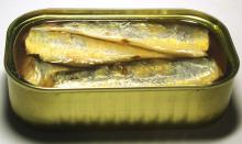 Canned sardine/mackerel/ frozen fish Morocco best quality/price