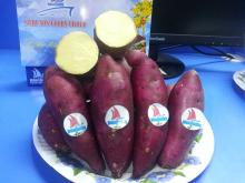 VIETNAMESE SWEET POTATO