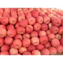 Fresh Fruits Red Fuji  Apple s