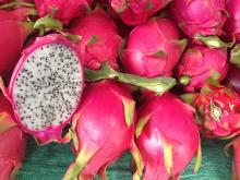 Fresh Dragon Fruits