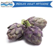 Violet  Artichoke . Mediterranean  Artichoke  , Fresh Harvest 2019