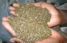 Flax seeds
