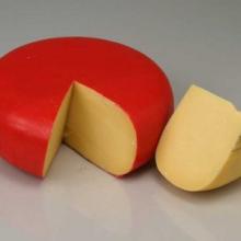 GOUDA CHEESE 48% FOR SALE