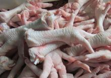 Processed Grade ''A'' Frozen Chicken Feet & Paws