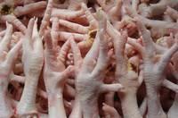 Halal Grade A Chicken Feet / Frozen Chicken Paws / CHicken Wings