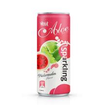320ml Canned Sparkling Aloe vera drink with watermelon flavor