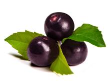 Organic Acai Puree 12% - Acidified.