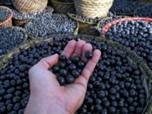 Acai Berry Pulp .//..