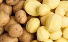  Holland   Sweet   Potato , Fresh  Potato es for Sale / Fresh Irish / Potato es