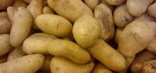 Irish Potatoes For Sales,,,///