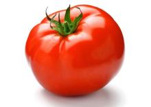 FRESH TOMATOES IN VIETNAM WITH HOT PRICE