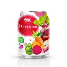 250ml Can 100% Vegetable Juice - Juice for Depression
