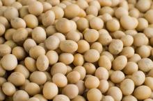 Soybeans DAP China