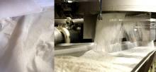 Sugar for the food industry