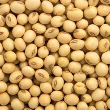 Soyabeans