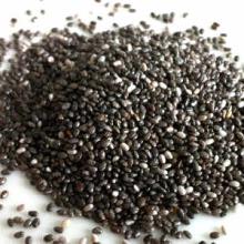 Chia Seed