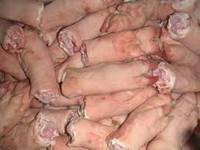 Frozen Pork Feet