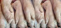 Clean and Freshly Frozen Pork Feet