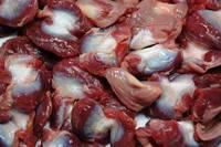 halal Frozen Chicken Gizzards