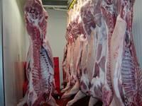 Buy Grade AAA Frozen Pork Meat , Pork Tail,Pork Feet, Head