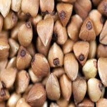 buckwheat for sale
