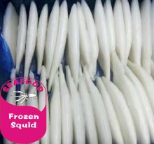 factory price fresh high quality u5 u7 u10 frozen squid tube