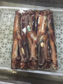 frozen illex squid WR 150-200G ILLEX ARGENTINUS