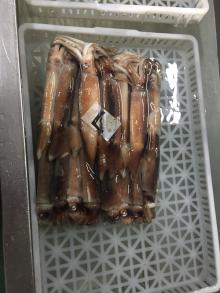 frozen illex squid WR 300-400gILLEX ARGENTINUS