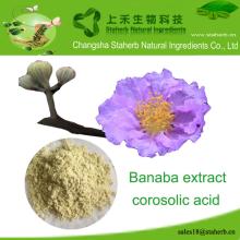 Factory supply banaba leaf extract,corosolic acid,lose weight