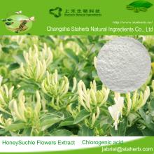 Good quality  honeysuckle   flower  extract, Chlorogenic  acid,Skin care