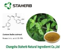 Hot sales Lemon balm extract,Rosmarinic acid,Antioxidant