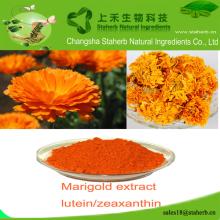 Free sample  Marigold   extract , Zeaxanthin ,Colorant