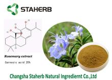 Best quality rosemary extract,Carnosic acid,Antioxidant
