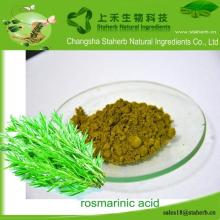 Hot sale rosmary extract, Rosmarinic acid,Antioxidant