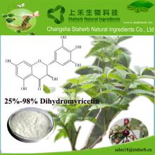 Factory supply vine tea extract,Dihydromyricetin,Protect liver
