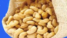  Raw  Roasted broken  cashew   nuts / Toasted Split  Cashew   nuts  /