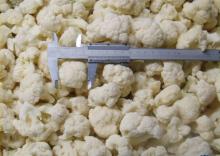 IQF Cauliflower