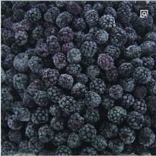 China Good Quality IQF Frozen Blackberry