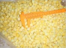 2018 Factory Price  IQF   Frozen   Mango 