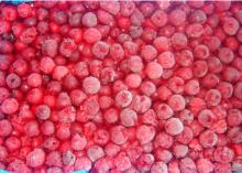 IQF Frozen Cherry