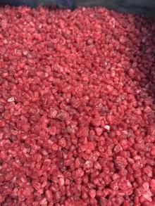 broken  frozen   raspberry / IQF   raspberry 