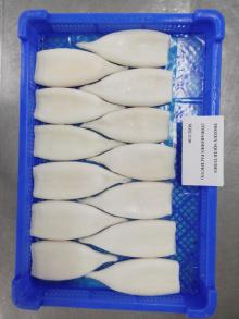 frozen squid tubes
