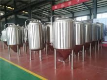 300L Fermentation Tank