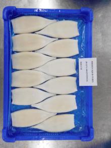 frozen  illex   squid  tube