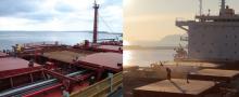 Milling Wheat CIF ports of Brazil