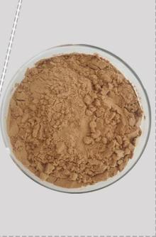 Noni Powder