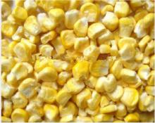 Good Price Freeze Dried Corn