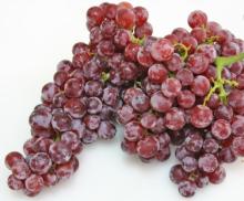  Xinjiang   Red  Grape